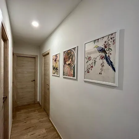 Feeling Lope De Fenar * レオン